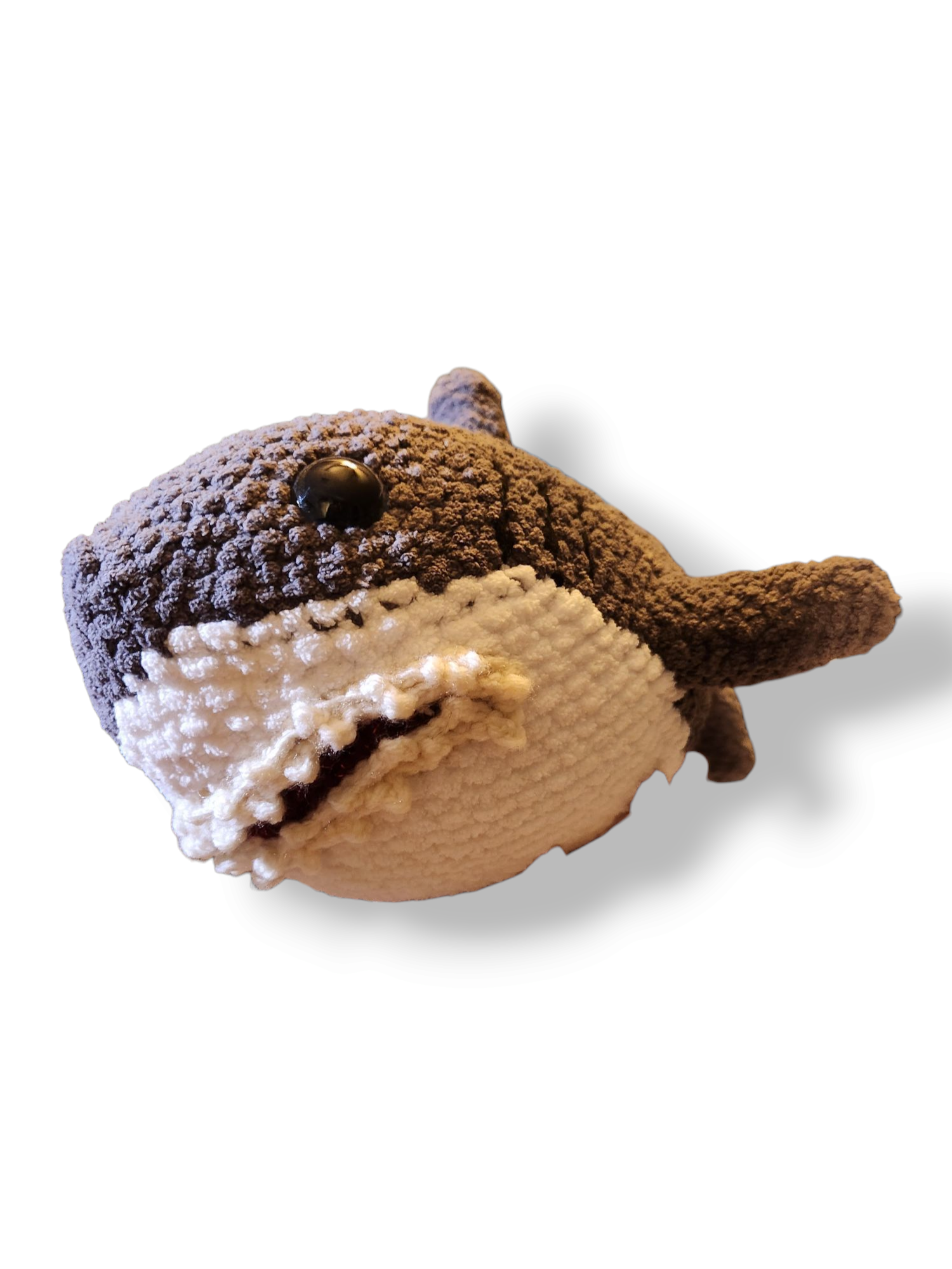 Chompy the Shark - Image 2