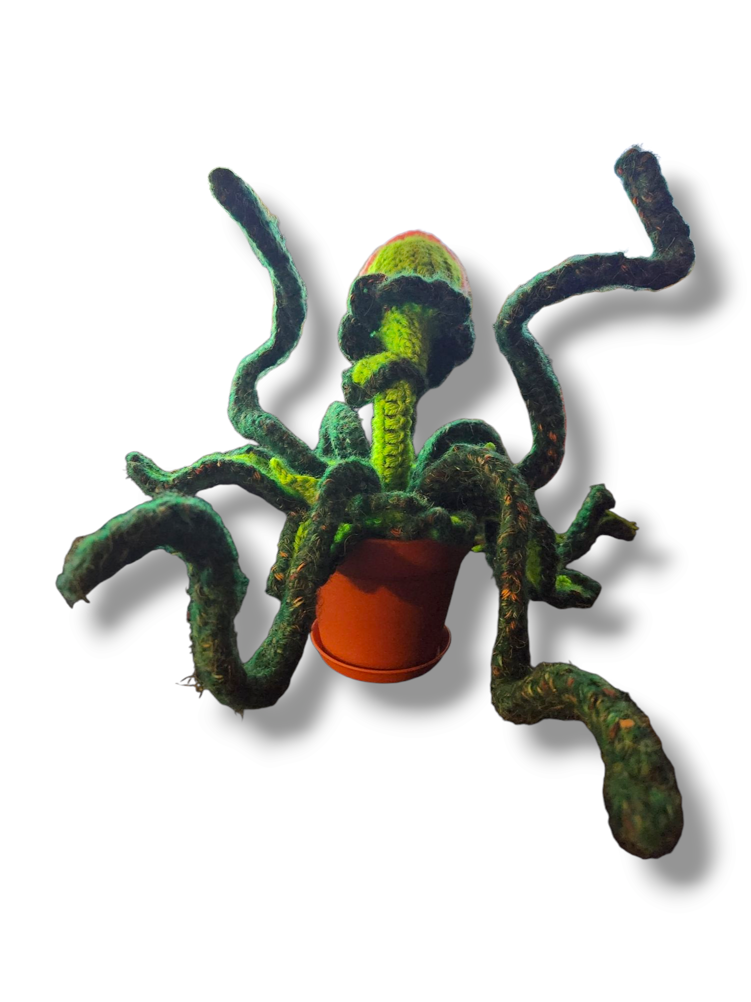 The Man-Eater in Bloom - Image 4